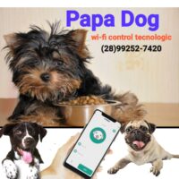 Alimentador automatico Papa-dog
